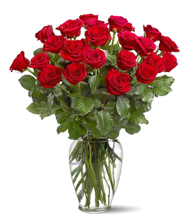24 Red Roses in a Vase Gift